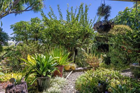 Photo of property in 92 Waiewe Street, Whakatane, 3120