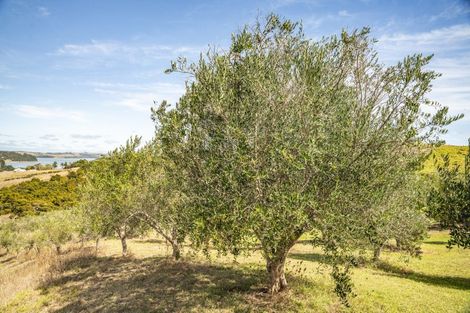 Photo of property in 241d Heatley Road, Whakapirau, Maungaturoto, 0583