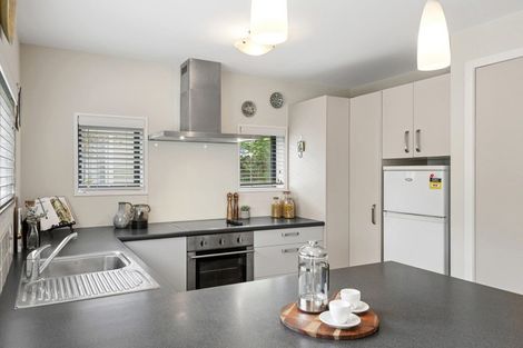 Photo of property in 103 Ranfurly Street, St Albans, Christchurch, 8014