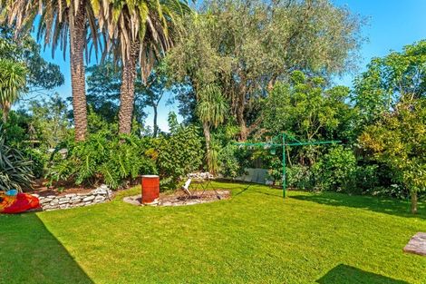 Photo of property in 52 Gordon Street, Mangapapa, Gisborne, 4010