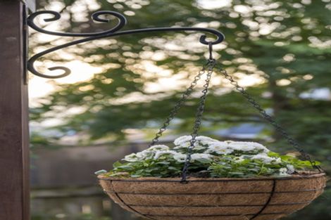 Photo of property in 7/108 West Coast Road, Glen Eden, Auckland, 0602