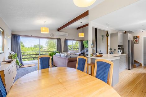 Photo of property in 63 Henry Hill Road, Taupo, 3330
