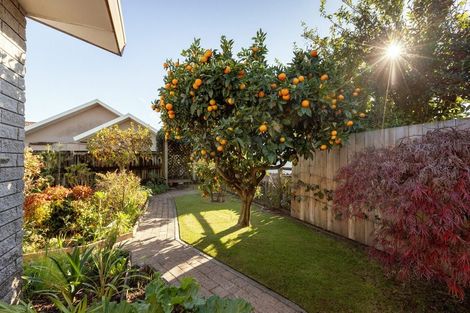 Photo of property in 10a Tutauanui Crescent, Maungatapu, Tauranga, 3112