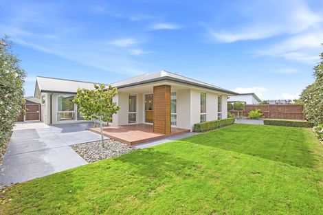 Photo of property in 117 Metehau Street, Marshland, Christchurch, 8083