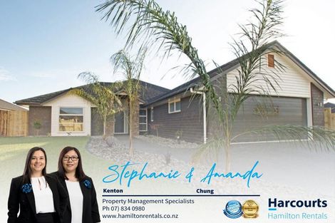 Photo of property in 20 Michael Terrence Place, Flagstaff, Hamilton, 3210