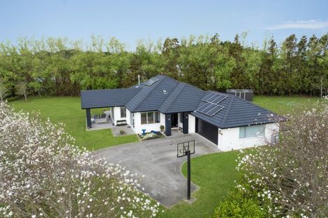 Photo of property in 1539 Waiuku Road, Waiuku, 2681