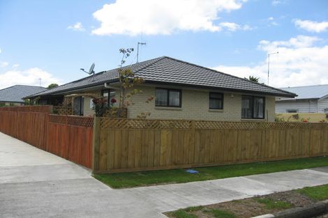 Photo of property in 115 Denbigh Street, Feilding, 4702