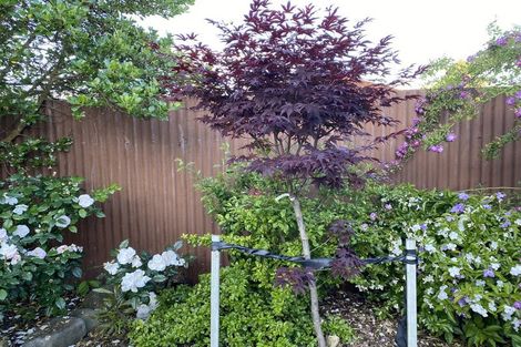 Photo of property in 100 Centennial Avenue, Waitara, 4320