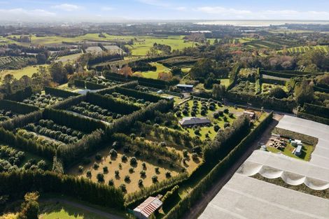 Photo of property in 55 Pine Ridge Lane, Aongatete, Katikati, 3181