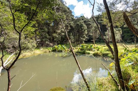 Photo of property in 690 Waikino Road, Karetu, Kawakawa, 0283