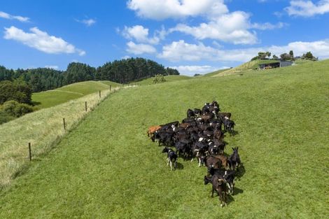 Photo of property in 54 Kentucky Road, Karapiro, Cambridge, 3494