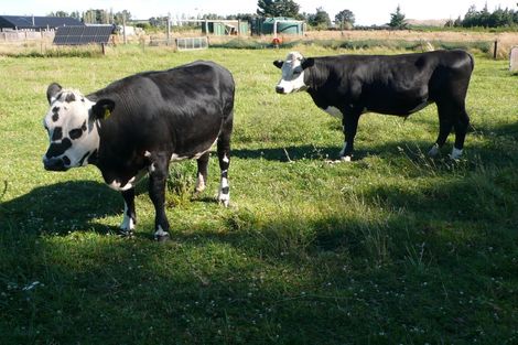 Photo of property in 9 Lewis Road, View Hill, Oxford, 7495