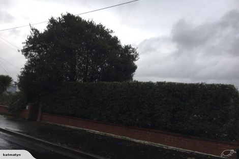 Photo of property in 125 Evans Street, Opoho, Dunedin, 9010