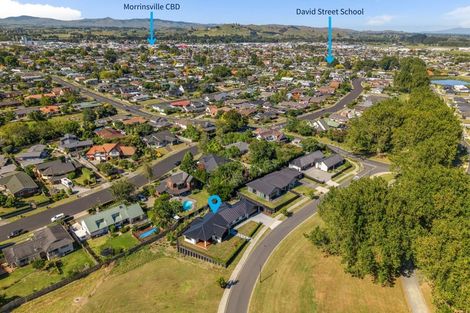 Photo of property in 6 Ticklepenny Place, Morrinsville, 3300