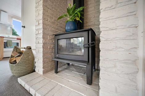 Photo of property in 33 Henry Street, Te Anau, 9600