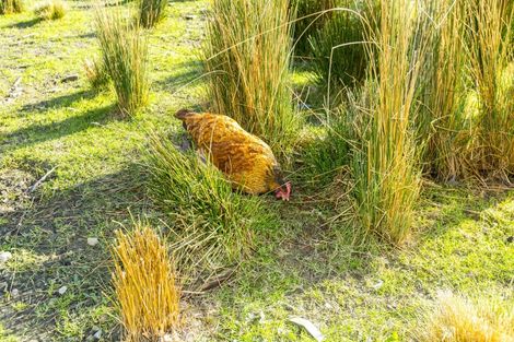 Photo of property in 147 Upper Fitzherbert Road, Wainuiomata, 5373