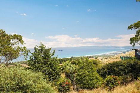 Photo of property in 209 Green Island Bush Road, Waldronville, Dunedin, 9076