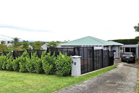 Photo of property in 60 Ballance Street, Lower Vogeltown, New Plymouth, 4310