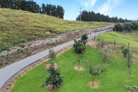 Photo of property in 245 Paerata Ridge Road, Waiotahe, Opotiki, 3198