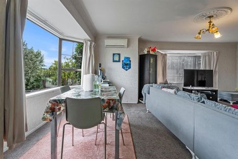 Photo of property in 48 Anglesea Street, Hamilton Central, Hamilton, 3204