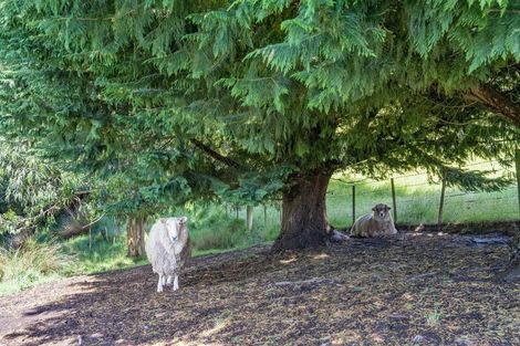 Photo of property in 47 Big Stone Road, Brighton, 9091