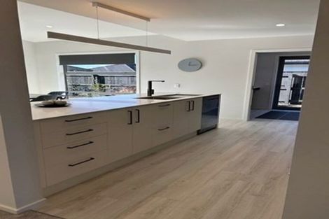 Photo of property in 80 Berryfield Drive, Appleby, Richmond, 7020