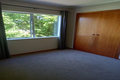 Photo of property in 35a Hinau Street, Maeroa, Hamilton, 3200