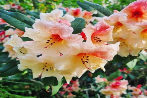 Photo of property in 4003 State Highway 4, Ongarue, 3997