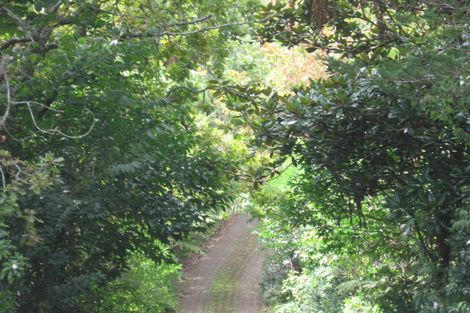 Photo of property in 6 South Lynn Road, Titirangi, Auckland, 0604