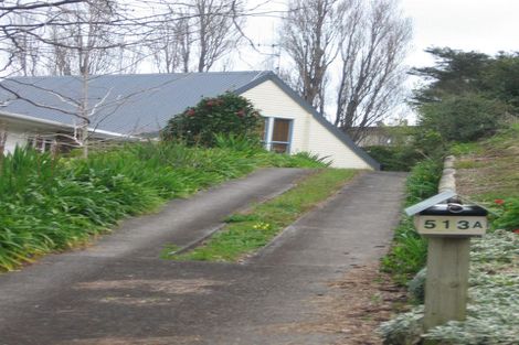 Photo of property in 513b The Terrace, Thames, 3500