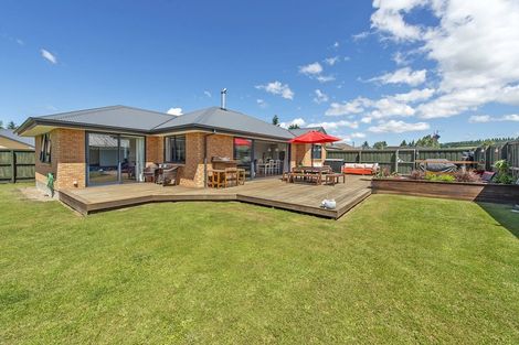 Photo of property in 14 Princes Street, Springfield, 7681