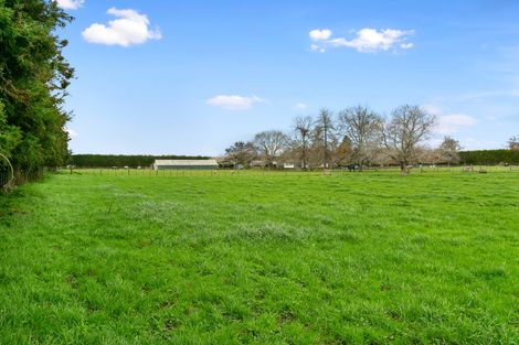 Photo of property in 14 Pukerimu Lane, Cambridge, 3495