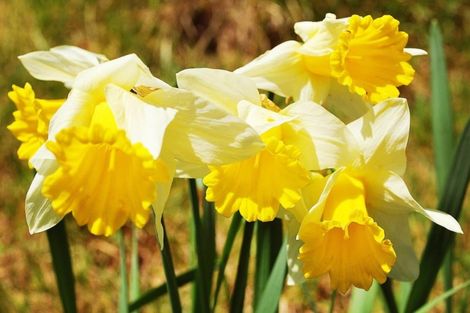 Photo of property in 2b Hartley Avenue, Carterton, 5713