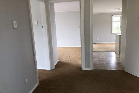 Photo of property in 65 Wilson Road, Balclutha, 9230