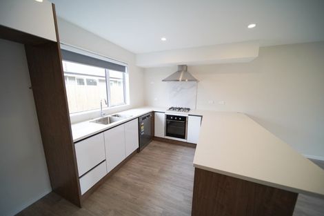 Photo of property in 1/9 Maitland Street, Frankton, Hamilton, 3204