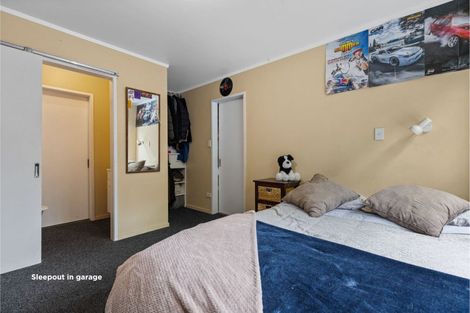 Photo of property in 44 River View Road, Morrinsville, 3300