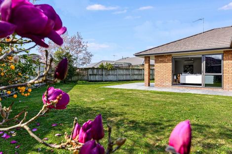 Photo of property in 8 Mosslea Court, Rototuna North, Hamilton, 3210