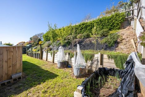 Photo of property in 293 Tukapa Street, Hurdon, New Plymouth, 4310