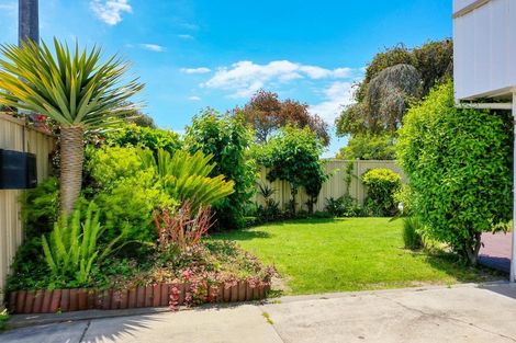 Photo of property in 1 Russell Street, Whakatane, 3120