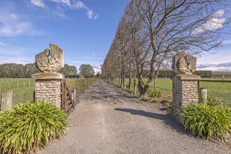 Photo of property in 313 Plaskett Road, Fernside, Rangiora, 7471