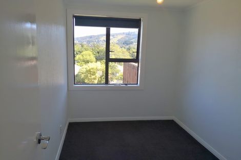 Photo of property in 17 Dover Street, Liberton, Dunedin, 9010