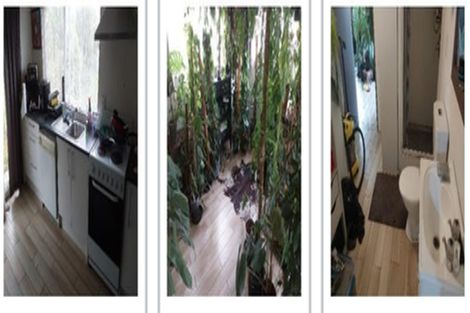 Photo of property in 56 Berwyn Avenue, Takanini, 2112