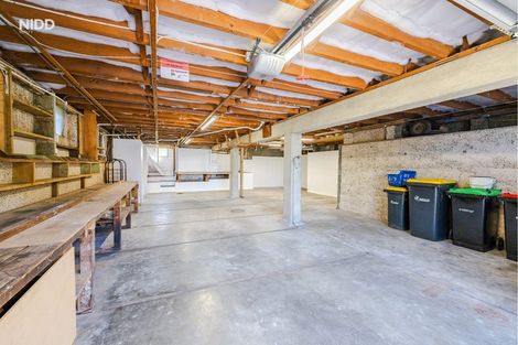 Photo of property in 217 Highcliff Road, Shiel Hill, Dunedin, 9013