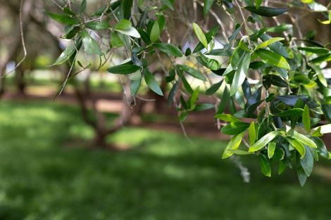 Photo of property in 9 Meadow Lane, Pakaraka, Kaikohe, 0472