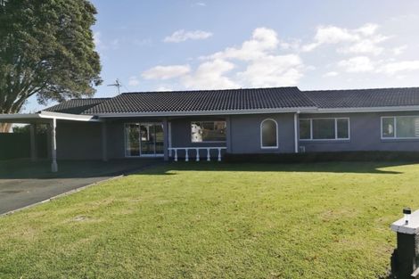 Photo of property in 19 Linklater Avenue, Bellevue, Tauranga, 3110