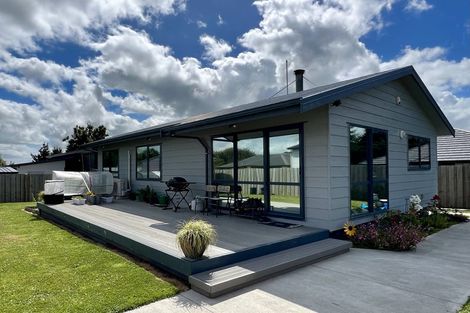 Photo of property in 19 Normanby Street, Rakaia, 7710
