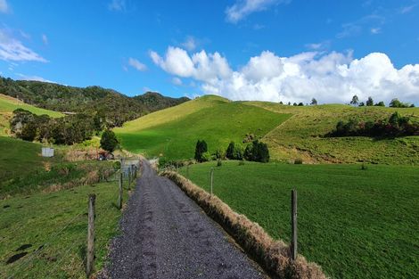 Photo of property in 91 Sharyn Nelson Drive, Haruru, 0204