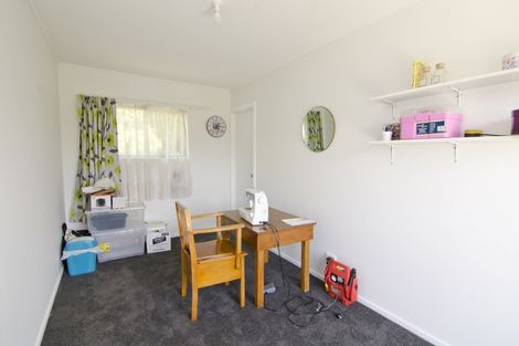 Photo of property in 4 Tweed Street, Roxburgh, 9500