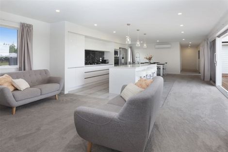 Photo of property in 304 North Eyre Road, Swannanoa, Kaiapoi, 7692