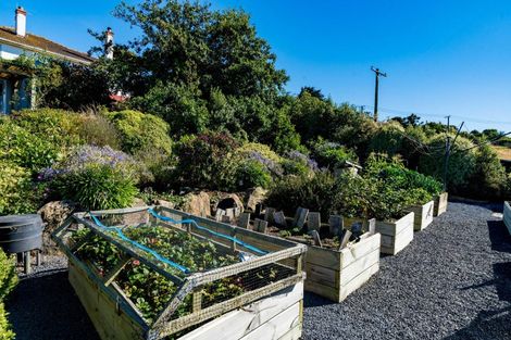 Photo of property in 151 Tomahawk Road, Andersons Bay, Dunedin, 9013